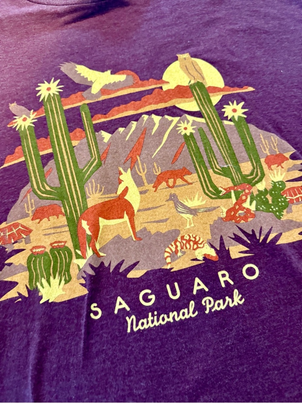Pacifica Maroon Graphic Tee            Saguaro National Park